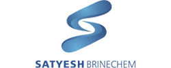 satyesh brinechem logo