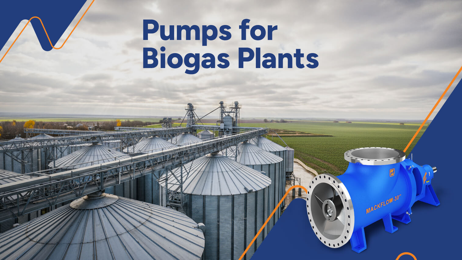 Pumps for Biogas Plants